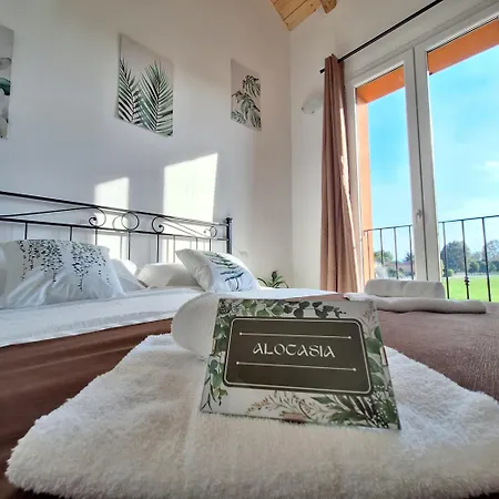 Pensionat San Vincenzo Anzola dell'Emilia