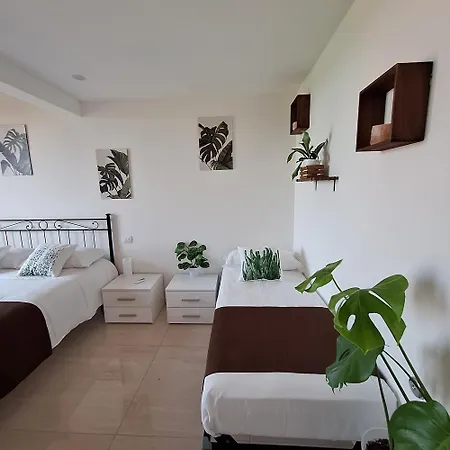 San Vincenzo Guest house *