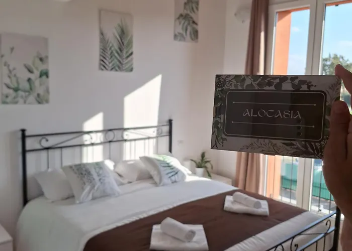 San Vincenzo 안졸라델에밀리아